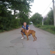  ,   Tel060895230, 35 ,   ,   , c 