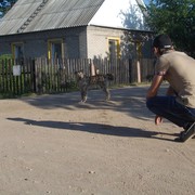 ���������� ����, ���� ������� ����, 34 ����, ������������ ��� ������, ����� � ���������, c�������� ���������