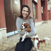 ���������� ��������, ���������