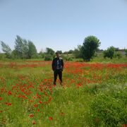  ,   Islom, 30 ,   ,   