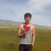  ,  Sardor, 28