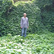  ,   , 54 ,     , c 
