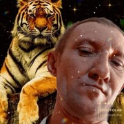 ���������� ��������, ���� ������� ������, 48 ���, ������������ ��� c�������� ���������