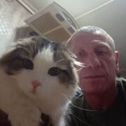  ,    , 46 ,   ,   , c , 