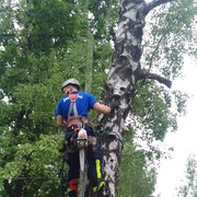 ���������� ������, ���� ����� ��������, 24 ����, ������������ ��� ������, ����� � ���������, c�������� ���������