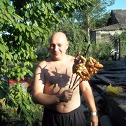  ,   , 50 ,  
