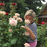 ���������� ������, ���� ������� Inn, 51 ���, ������������ ��� ������, ����� � ���������