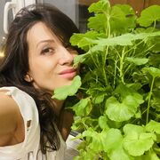 ���������� ������, ���� ������� ���������, 44 ����, ������������ ��� ����� � ���������, c�������� ���������