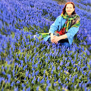 ���������� �����-���������, ���� ������� ����, 49 ���, ������������ ��� ����� � ���������, c�������� ���������