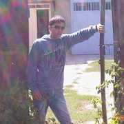  ,  samvel, 31