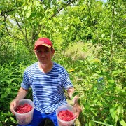 ���������� ��������, ���� ������� ������, 46 ���, ������������ ��� ����� � ���������, c�������� ���������