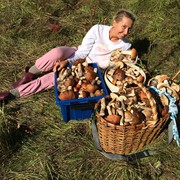 ���������� ������ ��������, ���� ������� ����, 54 ����, ������������ ��� ����� � ���������, c�������� ���������