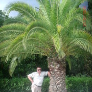  ,   , 53 ,   ,   , c 