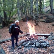  ,   , 71 ,  