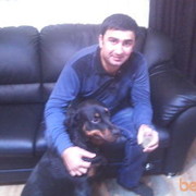 ���������� ������, ���� ������� ����, 43 ����, ������������ 