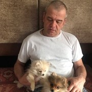 ���������� �����, ���� ������� ��������, 56 ���, ������������ ��� ������, ����� � ���������, c�������� ���������