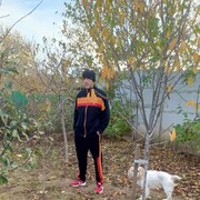 ���������� �����������, ���� ������� ���������, 38 ���, ������������ ��� ������, ����� � ���������