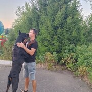 ���������� ���������, ���� ������� �����, 31 ���, ������������ ��� ������, ����� � ���������