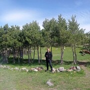  ,   , 41 ,   c , 