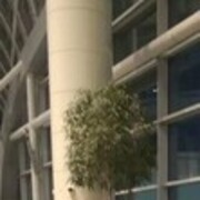 ���������� ������, ���� ������� �����, 43 ����, ������������ ��� ������, ����� � ���������