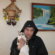  ,   , 36 ,     , c 