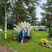 ���������� ������, ���� ������� �������, 53 ����, ������������ ��� c�������� ���������