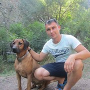  ,   , 35 ,  