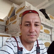 ���������� ������, ���� ������� ������, 43 ����, ������������ ��� ������, ����� � ���������, c�������� ���������, ���������