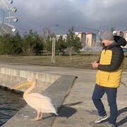  ,   , 47 ,     , c , 