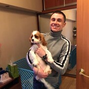 ���������� ������, ���� ������� ������, 41 ���, ������������ ��� ������, ����� � ���������