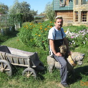 ���������� ������, ���� ������� ���������, 66 ���, ������������ ��� ������, ����� � ���������, c�������� ���������