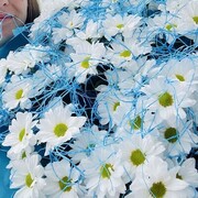  ,   , 29 ,   c 