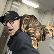 ���������� ������, ���� ������� ������, 49 ���, ������������ ��� ������, ����� � ���������