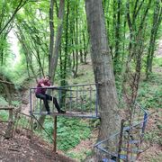 ���������� �����, ���� ������� VASO, 31 ���, ������������ ��� c�������� ���������