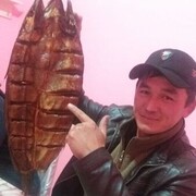 ���������� ������, ���� ������� �����, 34 ����, ������������ ��� ������, ����� � ���������