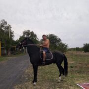  --,   , 48 ,   ,   