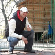  ,   , 41 ,     , c 