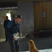 ���������� �������, ���� ������� �������, 40 ���, ������������ ��� ������, ����� � ���������, c�������� ���������