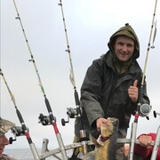  ,   , 44 ,  