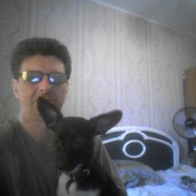  ,   , 51 ,   