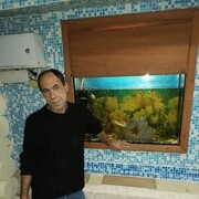 ���������� ���������, ���� ������� ���������, 48 ���, ������������ ��� ������, ����� � ���������, c�������� ���������