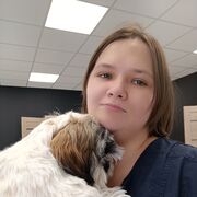 ���������� ��������, ������