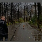 ���������� �����-���������, ���� ������� �������, 30 ���, ������������ ��� ������, ����� � ���������, c�������� ���������