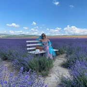 ���������� ���������, ���� ������� DAR, 48 ���, ������������ ��� ������, ����� � ���������, c�������� ���������