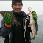 ���������� ������, ���� ������� ������, 42 ����, ������������ ��� ������, ����� � ���������, c�������� ���������