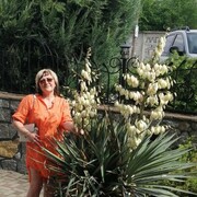  ,   , 57 ,   c , 