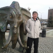  ,   , 55 ,   