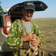 ���������� ���������, ���� ������� ������, 49 ���, ������������ ��� ������, ����� � ���������, c�������� ���������