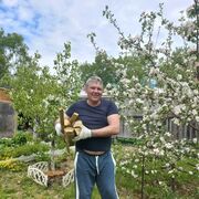 ���������� ����-���������, ���� ������� �������, 50 ���, ������������ ��� ������, ����� � ���������