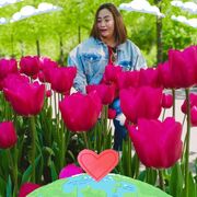  ,  Nongyao, 45